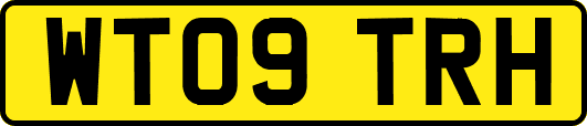 WT09TRH