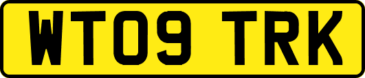 WT09TRK