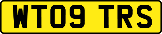 WT09TRS