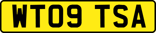 WT09TSA
