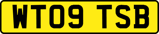 WT09TSB