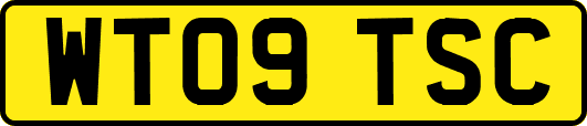 WT09TSC
