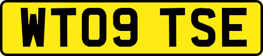 WT09TSE