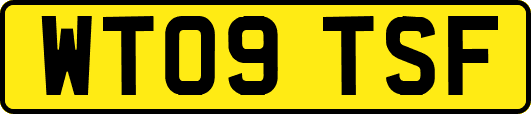 WT09TSF