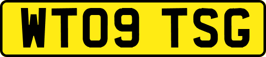 WT09TSG