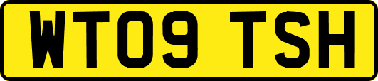 WT09TSH