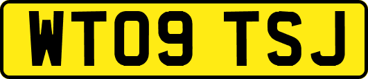 WT09TSJ