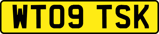 WT09TSK