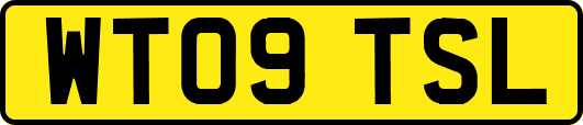 WT09TSL