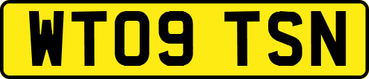 WT09TSN