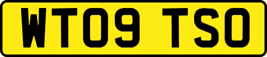 WT09TSO