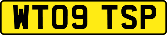 WT09TSP
