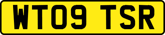 WT09TSR