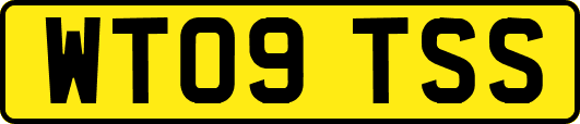 WT09TSS