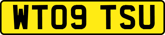 WT09TSU