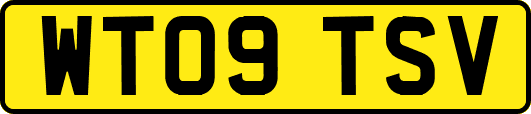 WT09TSV