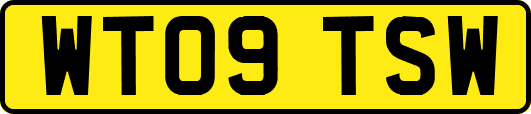 WT09TSW