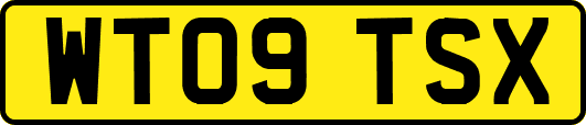WT09TSX
