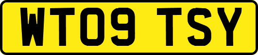 WT09TSY