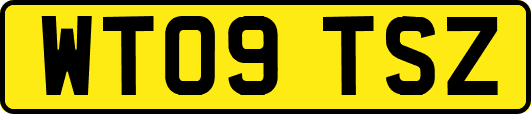 WT09TSZ