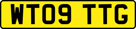 WT09TTG
