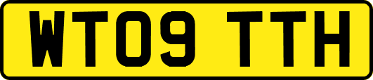 WT09TTH