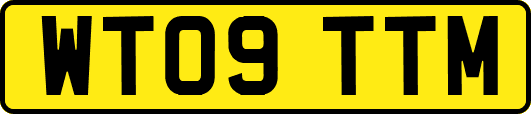 WT09TTM