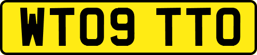 WT09TTO