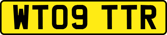 WT09TTR