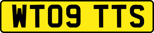 WT09TTS