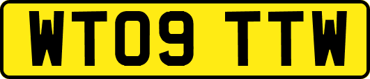 WT09TTW