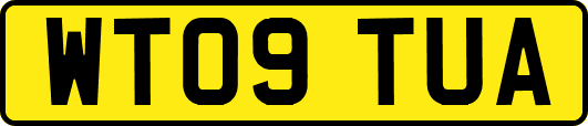 WT09TUA
