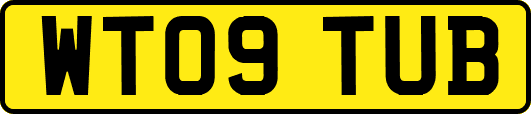 WT09TUB