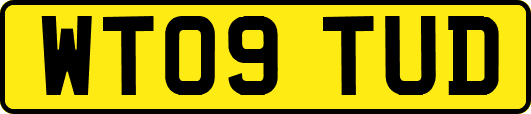 WT09TUD