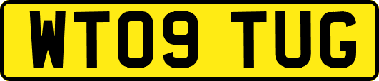 WT09TUG