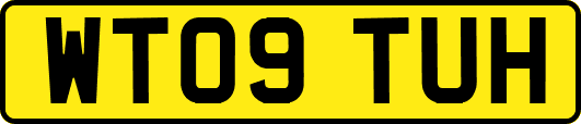 WT09TUH