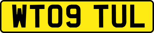 WT09TUL