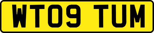 WT09TUM