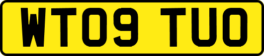 WT09TUO