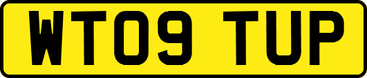 WT09TUP