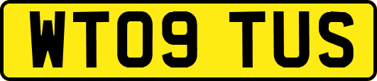 WT09TUS