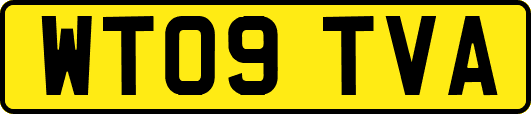 WT09TVA