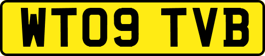 WT09TVB