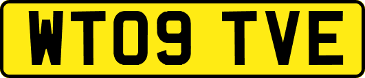 WT09TVE