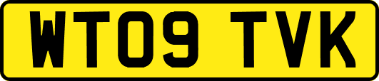 WT09TVK