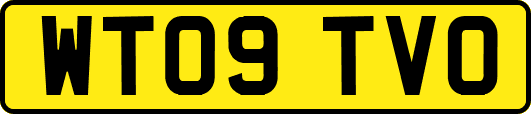 WT09TVO