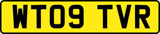 WT09TVR