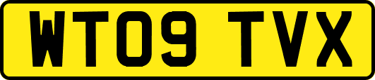 WT09TVX