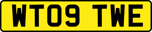 WT09TWE