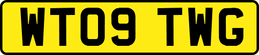 WT09TWG